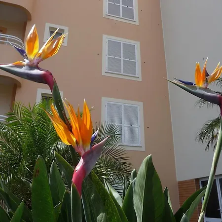 Apartamento Funchal Sunshine Apartment